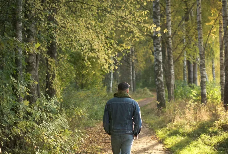 A man in a blue jacket walks away down a sunlit forest path