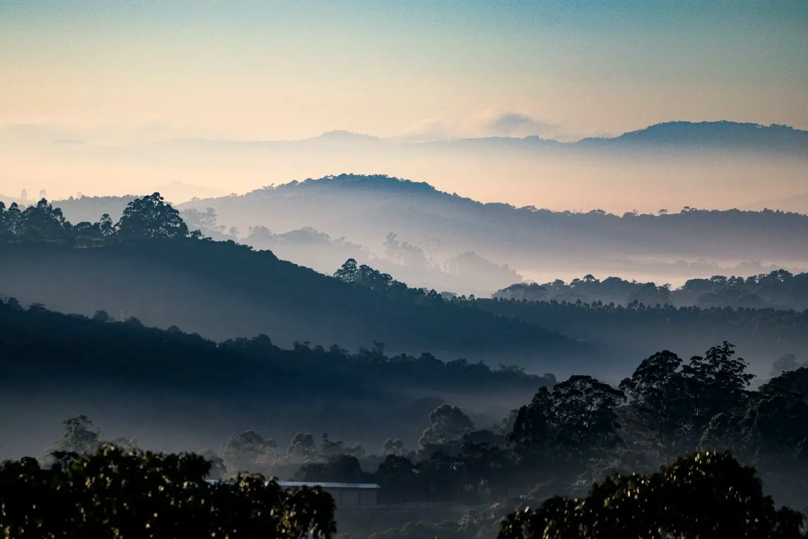 Rolling hills wrapped in soft morning mist